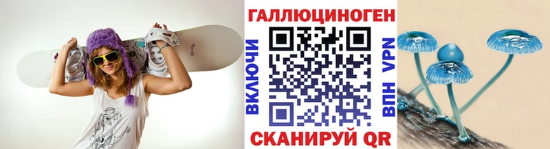 omg ССЫЛКА  даркнет сайт  Кировск  Псилоцибиновые грибы Magic Shrooms 