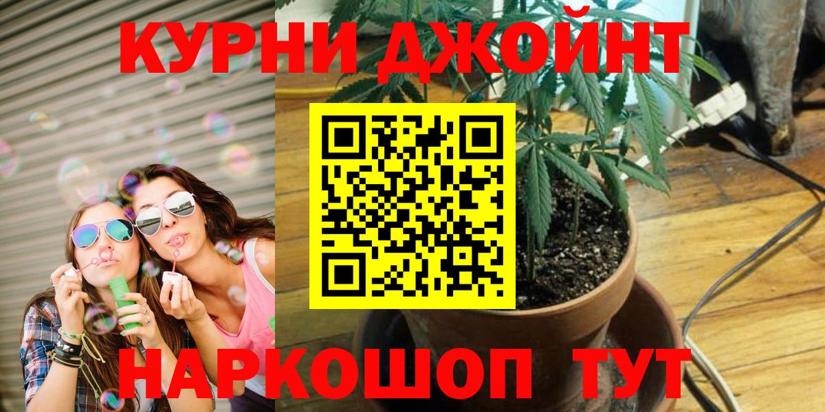 Канабис конопля Кировск